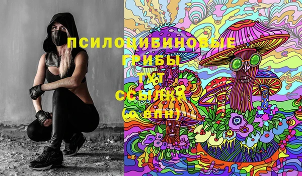 не бодяженный Дмитриев