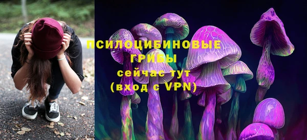 ALPHA PVP Дмитровск