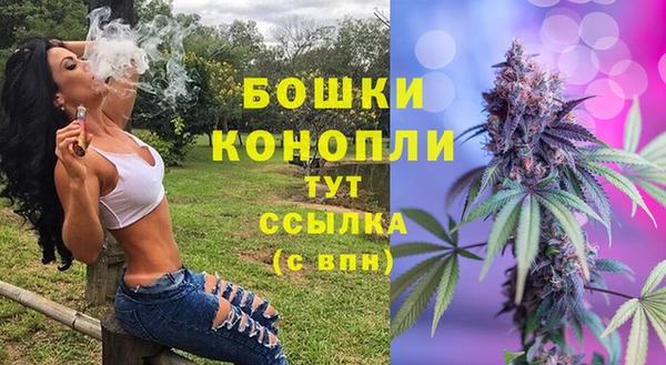 ALPHA PVP Дмитровск
