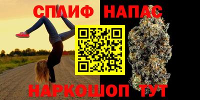 Альфа ПВП Камышлов
